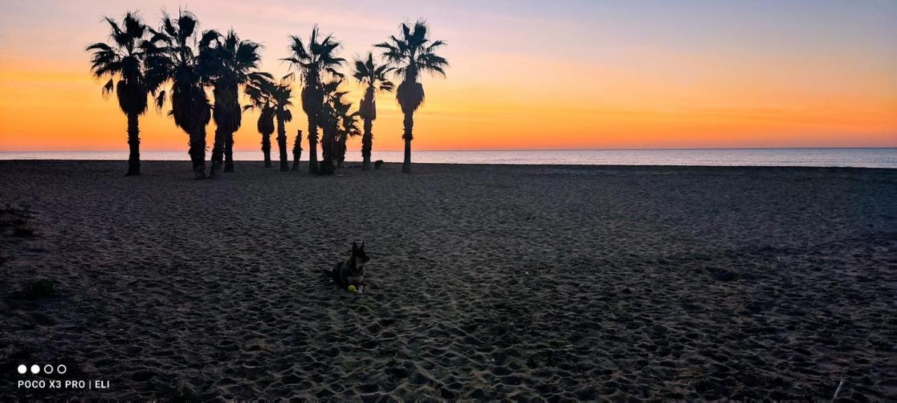 Encantador Apto En La Playa Coma-ruga Bagian luar foto