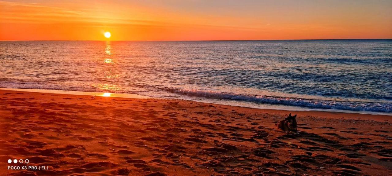 Encantador Apto En La Playa Coma-ruga Bagian luar foto