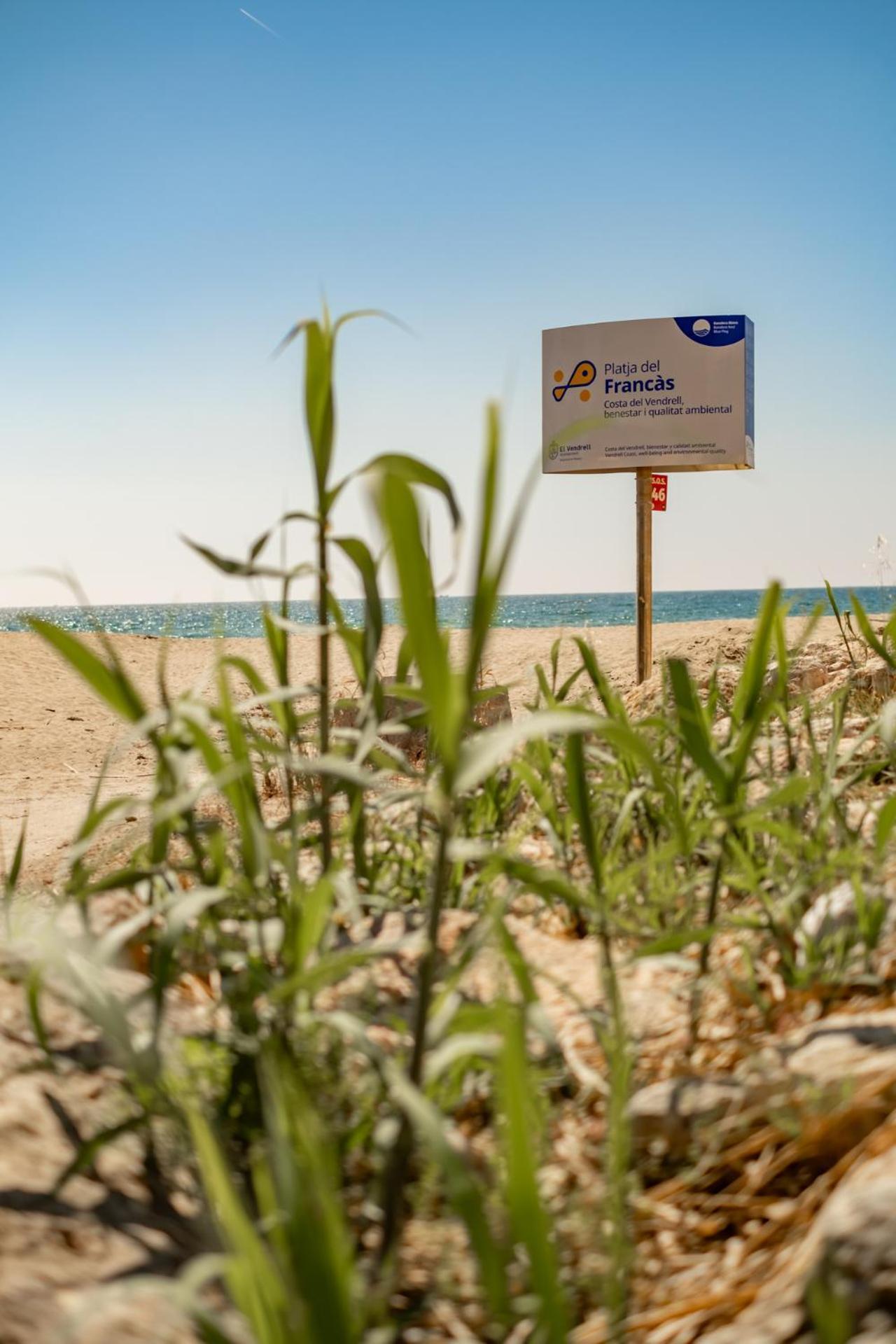 Encantador Apto En La Playa Coma-ruga Bagian luar foto